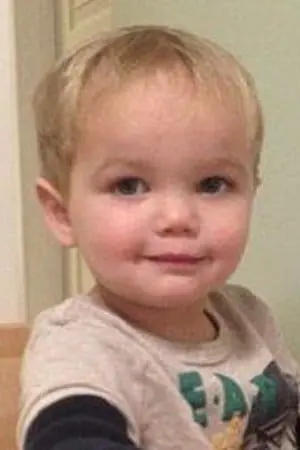 Фото Медведь Лоуренс #10784