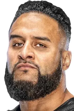 Фото Алипате Алоизо Леоне (Alipate Aloisio Leone) #337821