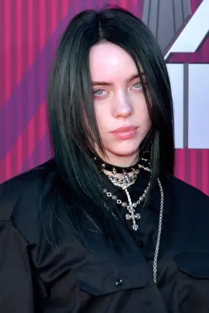 Фото Билли Айлиш (Billie Eilish) #329826