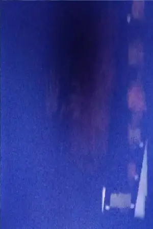 Фото К.С.Н #320219