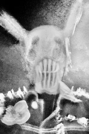 Фото Мадвин Мексис #365587