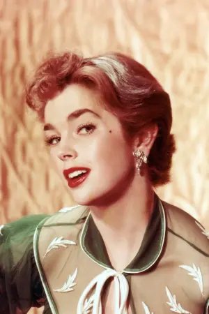 Фото Дон Аддамс #93056