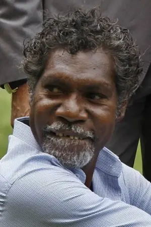 Фото Дэвид Нгумбуджарра #57616