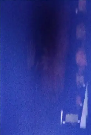 Фото К.С.Н #247359