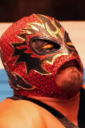 Фото  (Hechicero) #381288