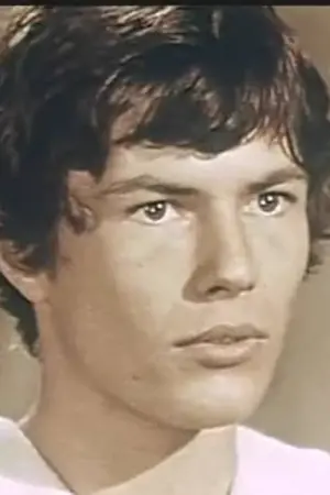 Фото Рено Верлей #286409