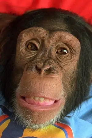 Фото Луи #342577