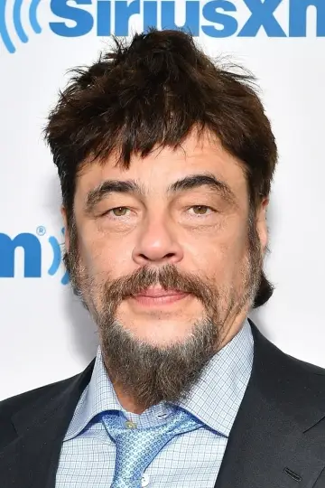 Фото Бенисио дель Торо (Benicio del Toro) #6491