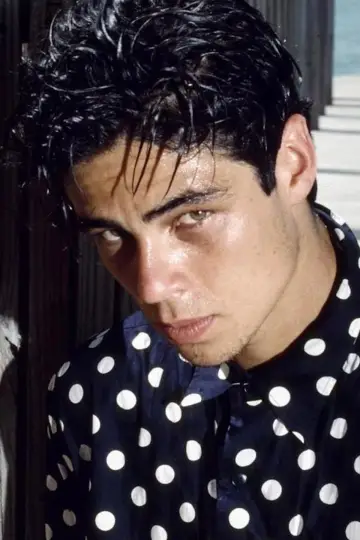 Фото Бенисио дель Торо (Benicio del Toro) #66757