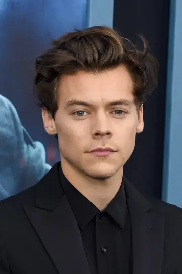 Фото Гарри Стайлс (Harry Styles) #37227