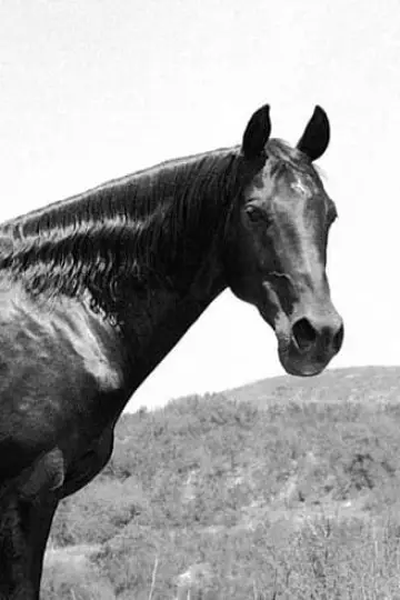 Фото #84349