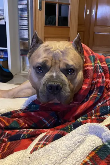 Фото #365560