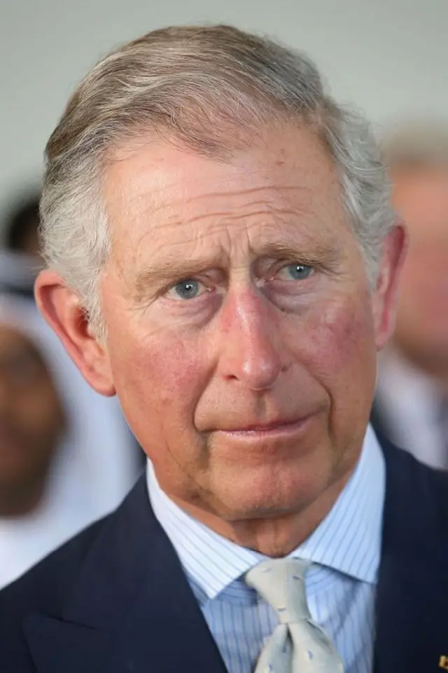 Фото Чарльз III, король Соединенного Королевства (King Charles III of the United Kingdom)