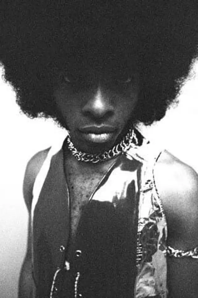 Фото Слай Стоун (Sly Stone)