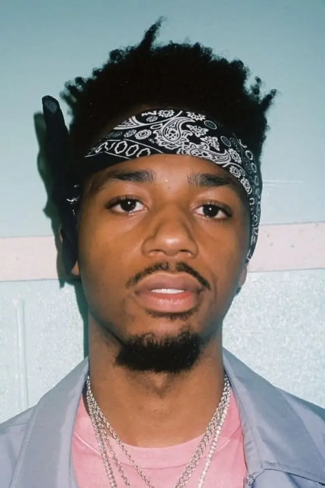 Фото Метро Бумин (Metro Boomin)