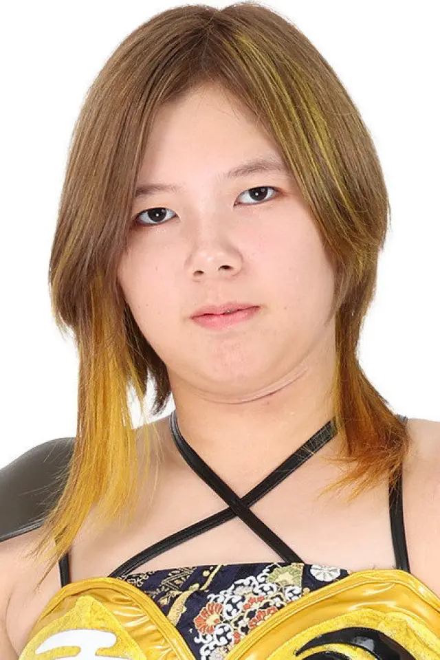 Фото  (Ai Houzan)