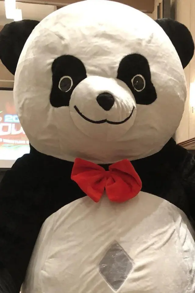 Фото  (Andreza Giant Panda)