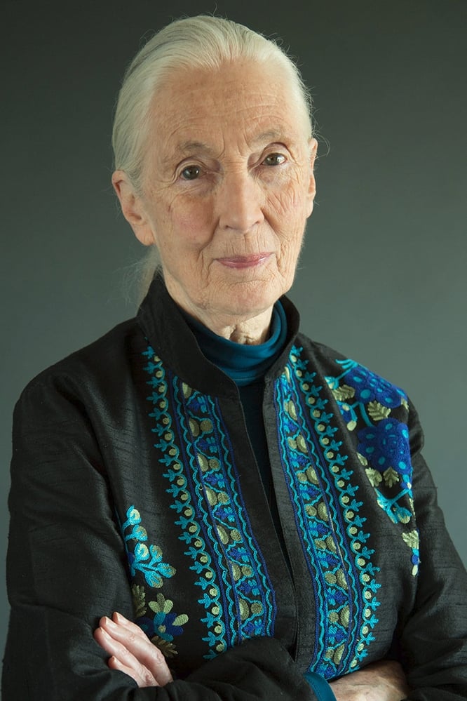 Фото Джейн Гудолл (Jane Goodall)