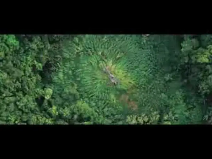 Видео к фильму Солдаты неудачи | Tonnerre Sous Les Tropiques - ba 2 VOST