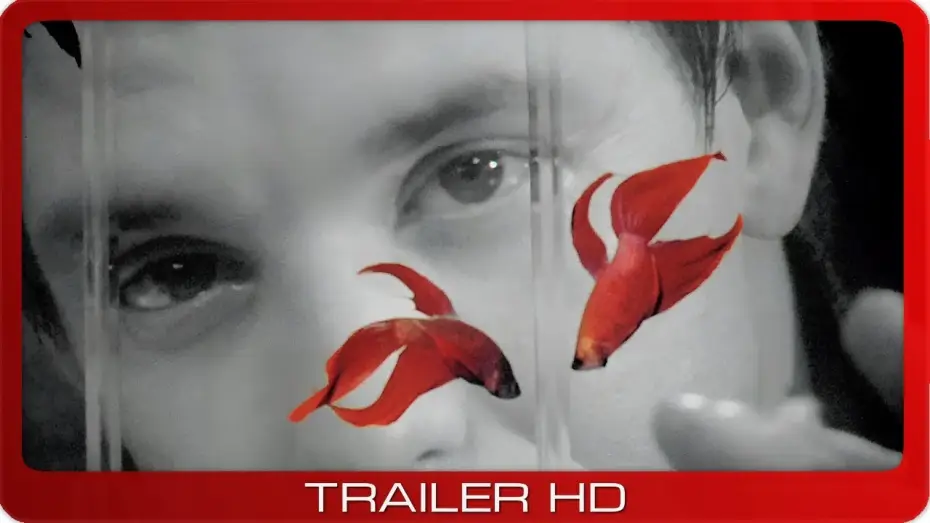 Видео к фильму Бойцовая рыбка — Rumble Fish ≣ 1983 ≣ Trailer ≣ Remastered ≣ German | Deutsch