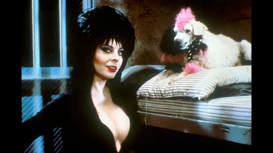 Видео к фильму Эльвира: Повелительница тьмы — Trailer - ELVIRA, HERRSCHERIN DER DUNKELHEIT (1988, Cassandra Peterson)
