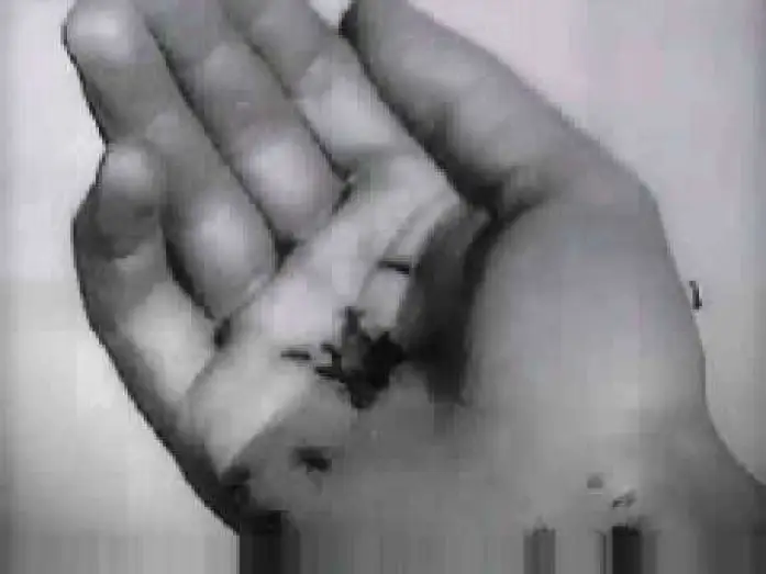 Видео к фильму Андалузский пёс — Un Chien Andalou - Trailer
