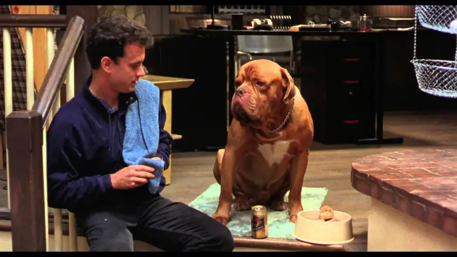 Видео к фильму Тернер и Хуч — Turner & Hooch (Bande annonce Vf)