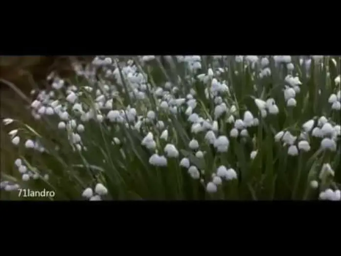 Видео к фильму Усадьба Хауардс-Энд — Regreso a Howards End: Fragmento de la muerte y las flores