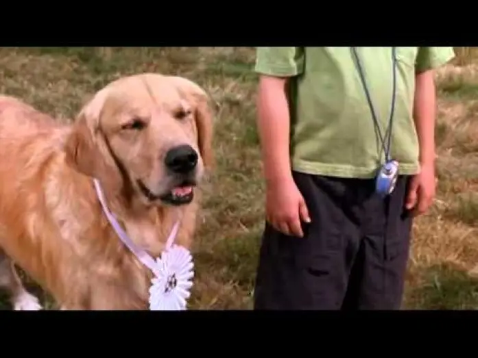 Видео к фильму Принцы воздуха — Air Bud - bande annonce