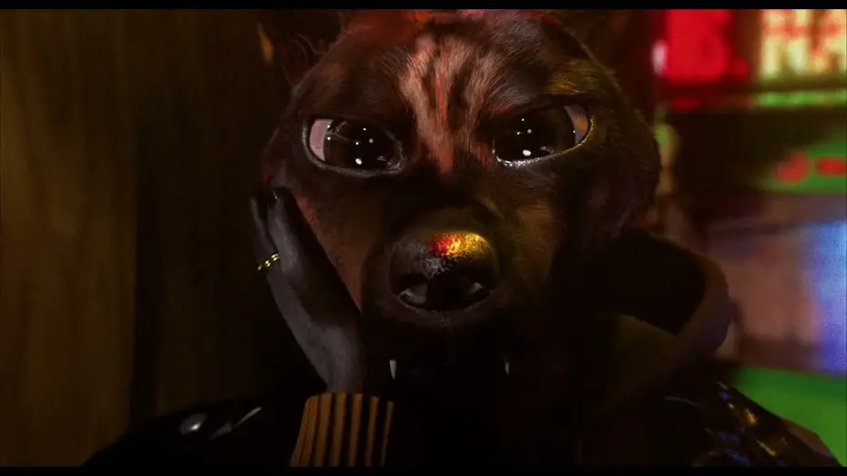 Видео к фильму Bouchra — BOUCHRA de Orian Barki et Meriem Bennani - le 3 juin au cinéma
