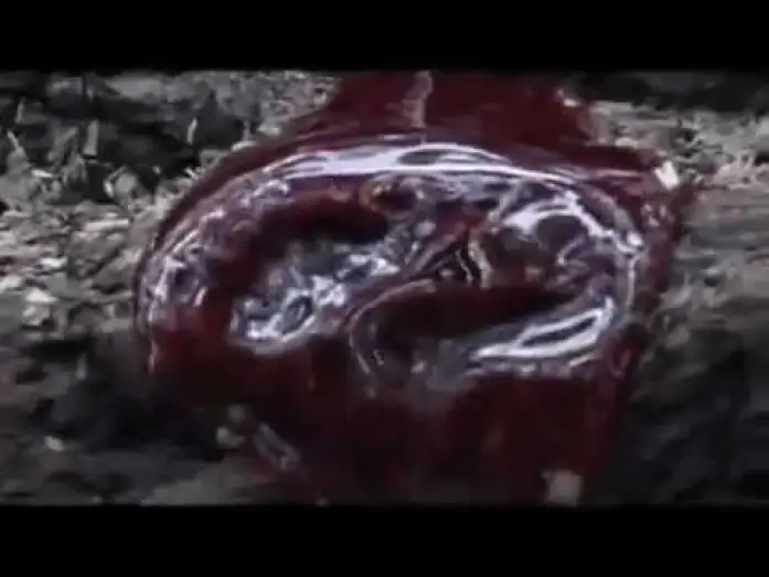 Видео к фильму Расчленённый — Severed - Forest of the Dead 2005 Trailer