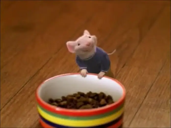 Видео к фильму Стюарт Литтл — STUART LITTLE - UN TOPOLINO IN GAMBA - Trailer Italiano