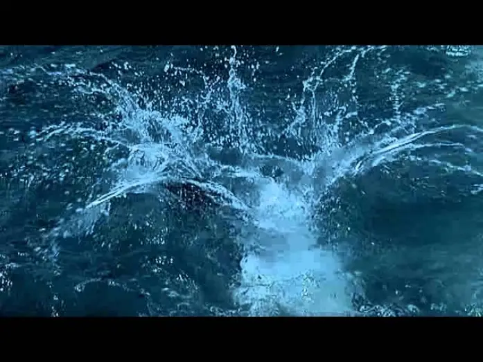 Видео к фильму Голубая бездна — Deep-Blue - Trailer (Deutsch)