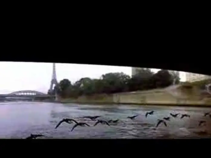 Видео к фильму Птицы — Winged Migration trailer