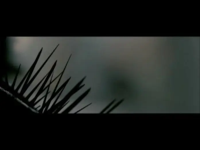 Видео к фильму Заноза — Splinter Trailer