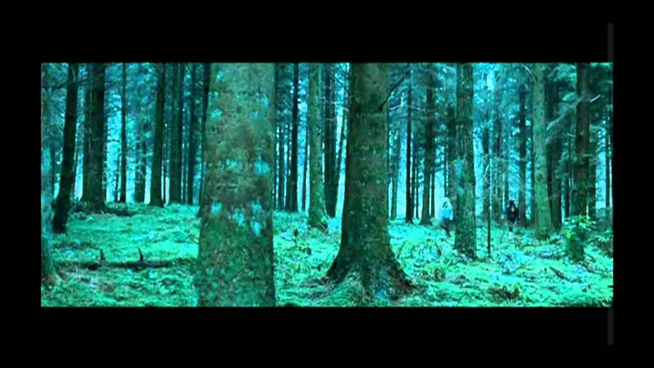 Видео к фильму Грибы — Shrooms - trip senza ritorno trailer ita