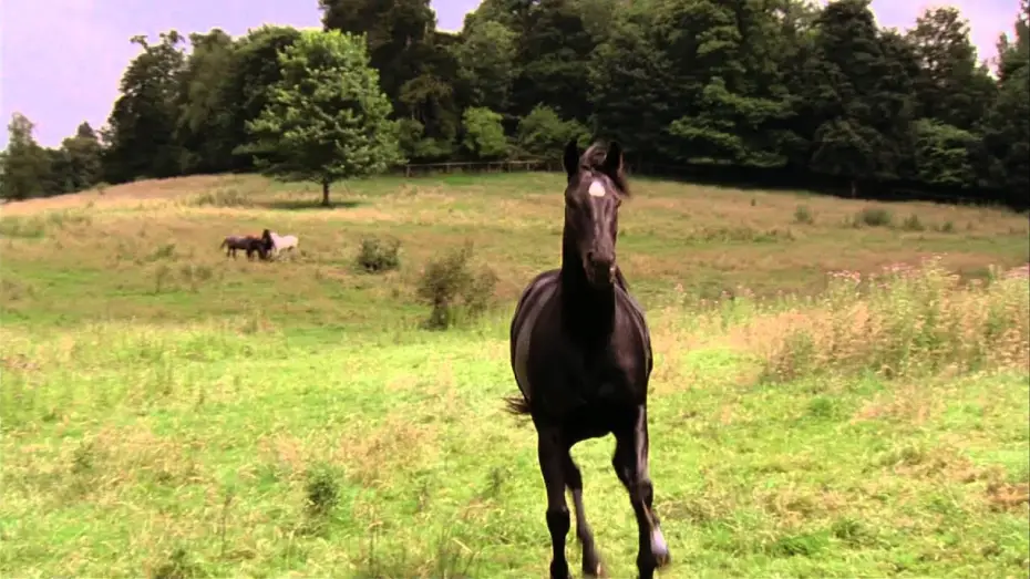 Видео к фильму Черный красавец — Black Beauty - Trailer