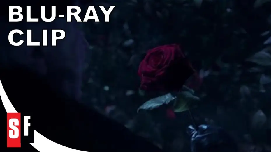 Видео к фильму Красавица и чудовище | The Rose [Subtitled]
