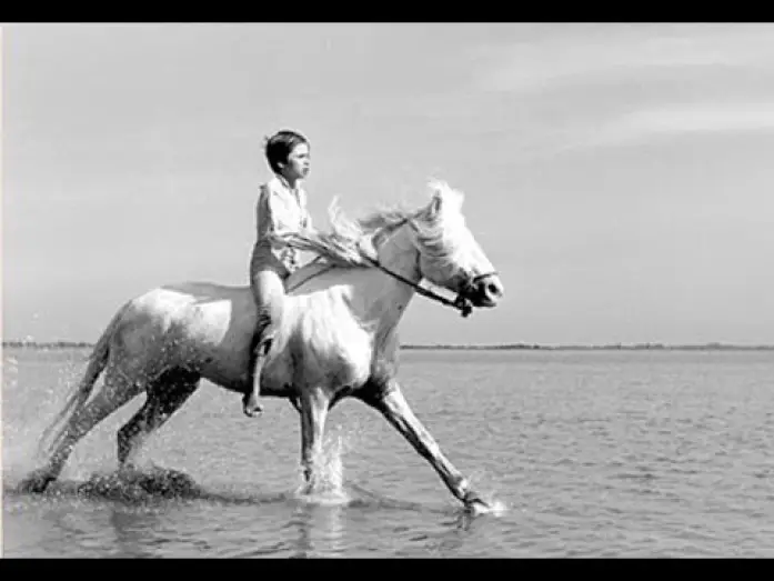 Видео к фильму Белая грива: Дикая лошадь — ¨Crin-Blanc¨ - Albert Lamorisse