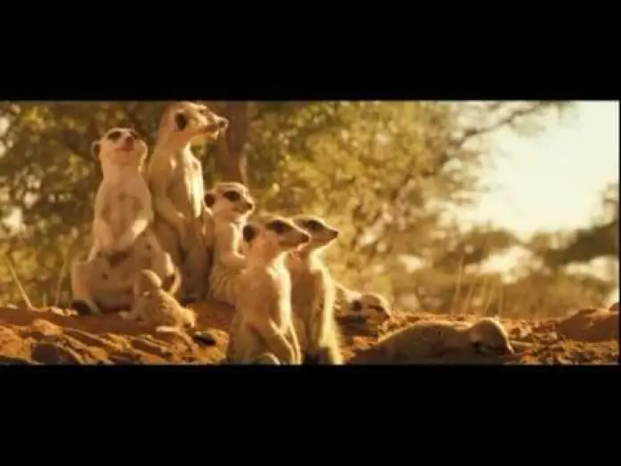 Видео к фильму Сурикаты — LA FAMILLE SURICATE - Bande Annonce VF