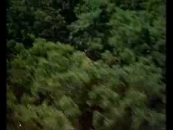 Видео к фильму Вкус солнечного света — Sunshine (1999) Trailer - Ralph Fiennes