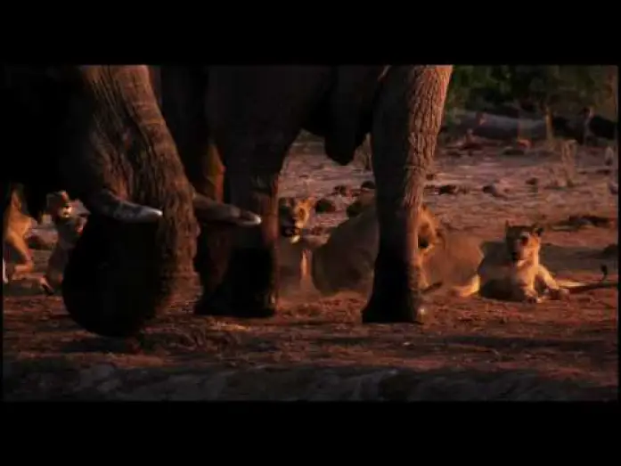Видео к фильму Земля — Earth Trailer by Disney Nature (HD)