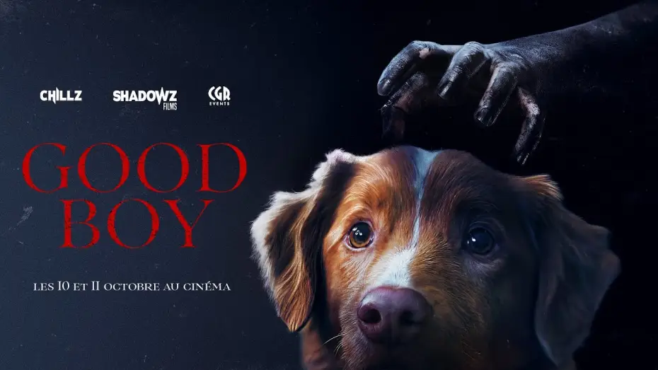 Видео к фильму Хороший мальчик | GOOD BOY - trailer VOSTFR