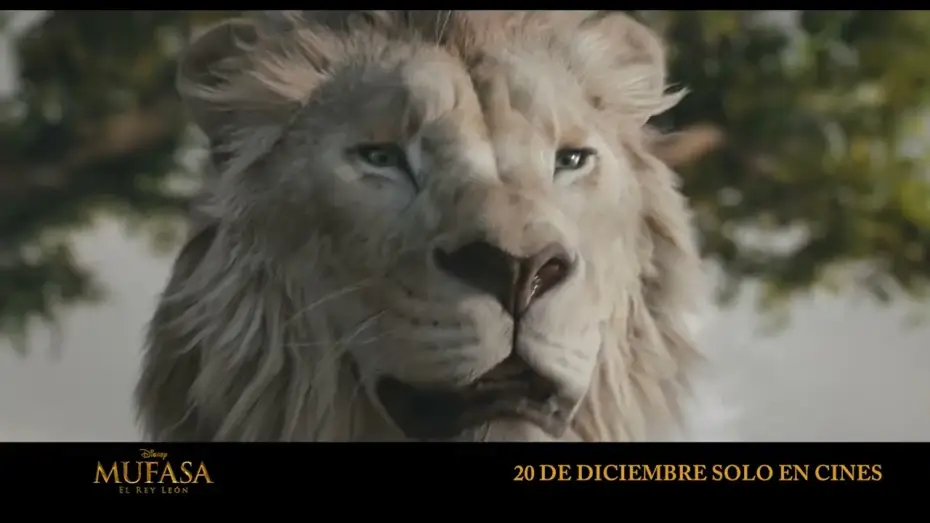Видео к фильму Муфаса: Король Лев | Anuncio: 'Mufasa y Scar'