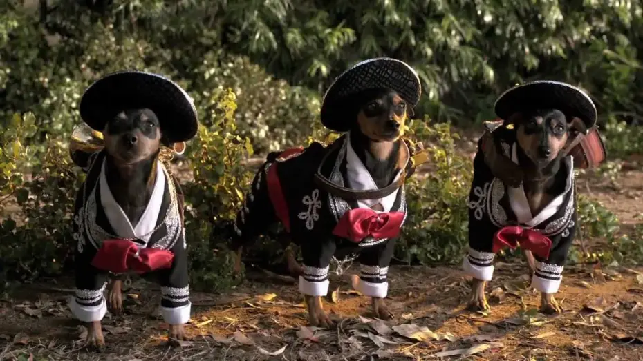Видео к фильму Крошка из Беверли-Хиллз 3 — Beverly Hills Chihuahua 3 Trailer #1