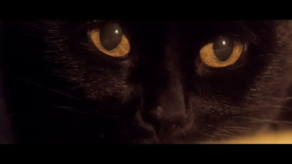 Видео к фильму Somos animales | Somos animales