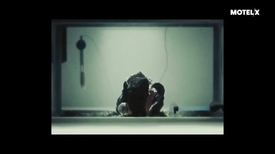 Видео к фильму From.Beyond — From.Beyond (2022) |  Trailer