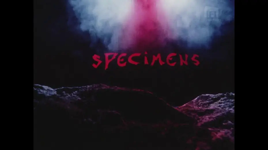 Видео к фильму Specimens — Roy Spence: Specimens