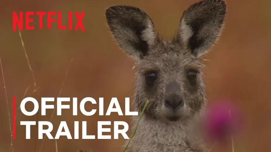 Видео к фильму Kangaroo Valley — Official Trailer
