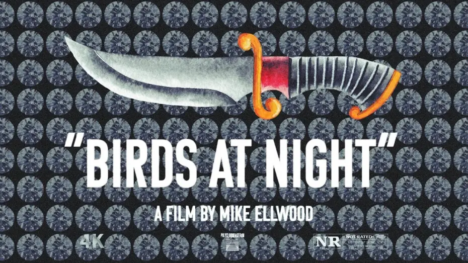 Видео к фильму Birds at Night | TRAILER | Birds at Night | a film by Mike Ellwood